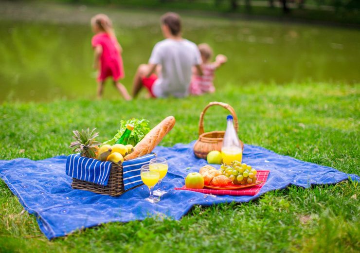 family-picnicking-D3GFVJQ.jpg